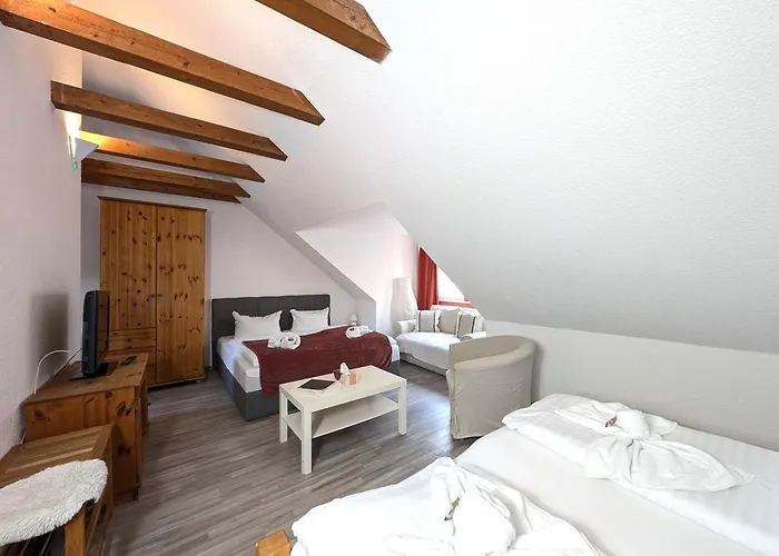 Casa de hóspedes Altstadtperle By Bohnapartments - Altstadt Erfurt